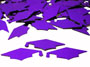 Purple Metallic Graduation Cap Confetti
